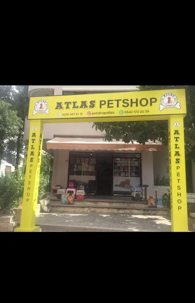 Atlas Petshop & Toptan Ve Perakende Satış Noktası foto 1