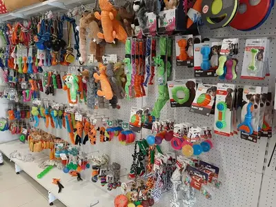 PENDİK BOSNA PET SHOP