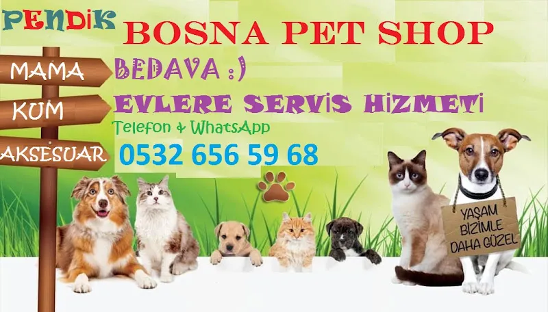 PENDİK BOSNA PET SHOP foto 2