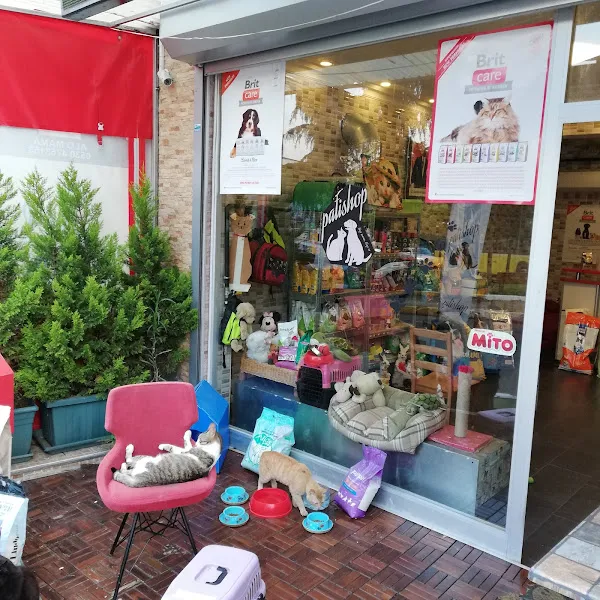 patishop foto 1
