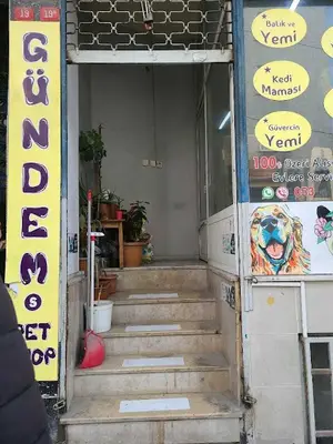 Gündem Petshop fotoğrafı