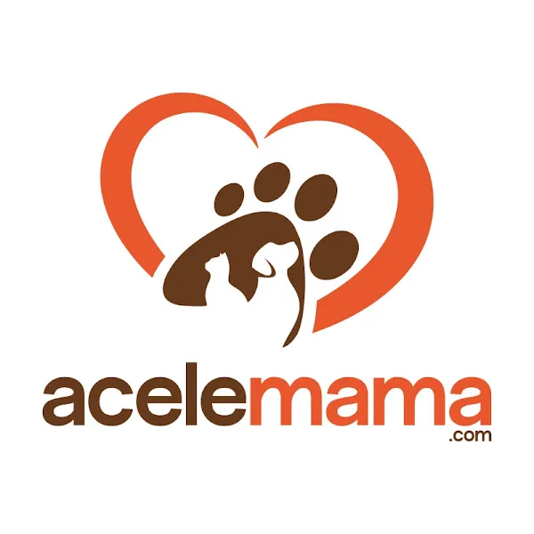 AceleMama Sarıyer foto 2