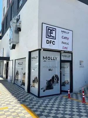 DFC PET İSTANBUL ŞUBE fotoğrafı