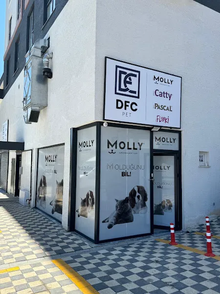 DFC PET İSTANBUL ŞUBE foto 1