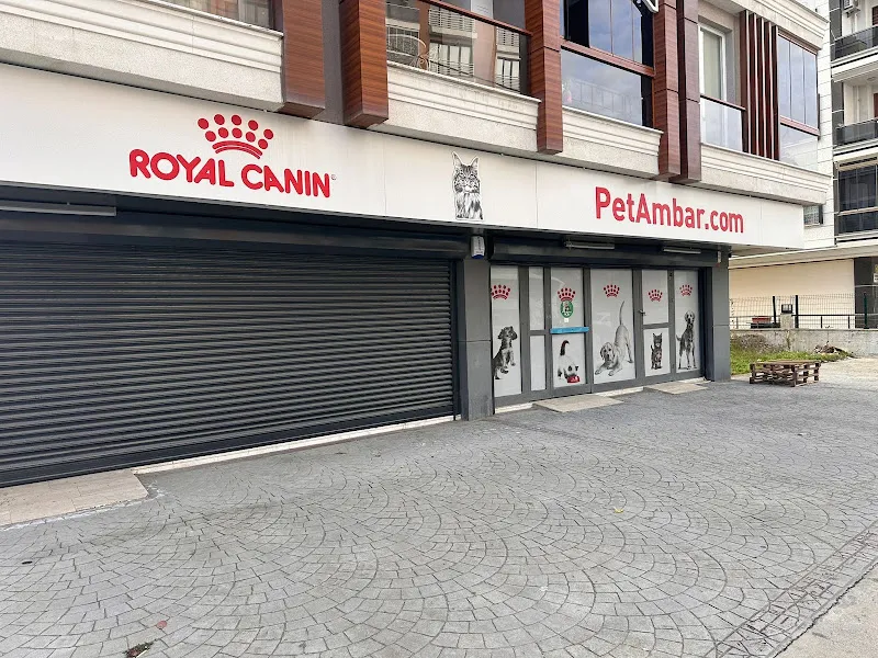 PetAmbar foto 1