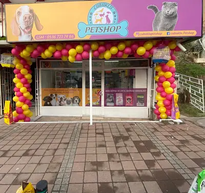 MamaBizde Petshop