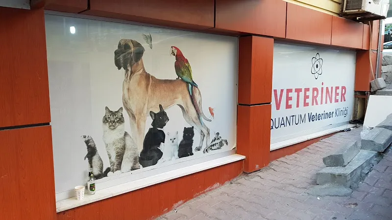 Quantum VETERİNER foto 2