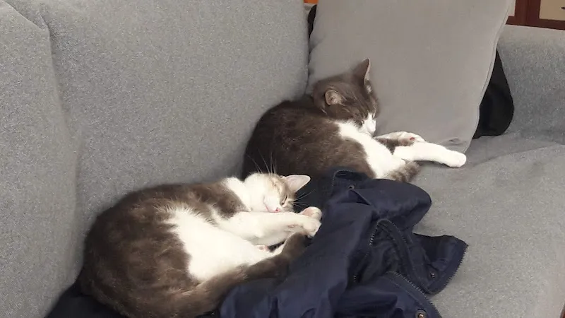 Eray Veteriner Kliniği foto 2