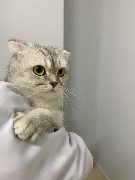 ŞenPati Veteriner Kliniği foto 1