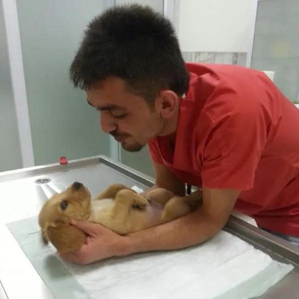Leon Veteriner Kliniği foto 2