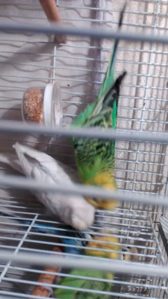 Doga Akvaryum PETSHOP foto 2