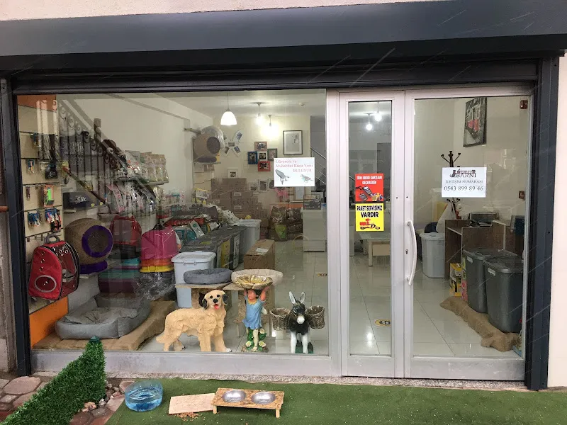 BarniPetShop foto 2