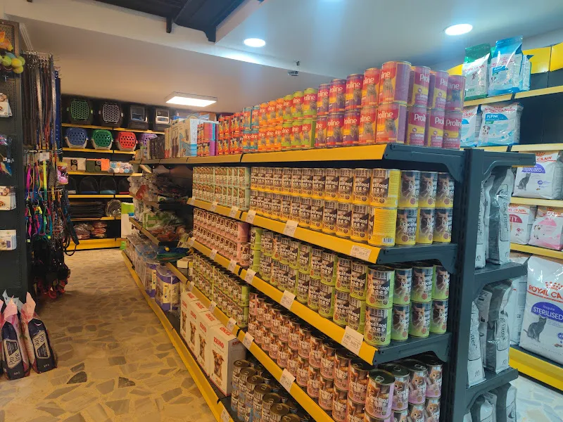 KİRPİ PET HOUSE foto 2