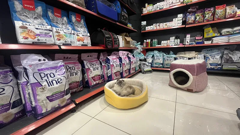 Alaska Petshop foto 2