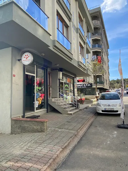 Petili Dünya foto 1