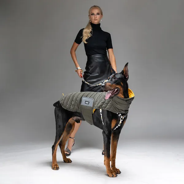 Lindodogs Ofis foto 2