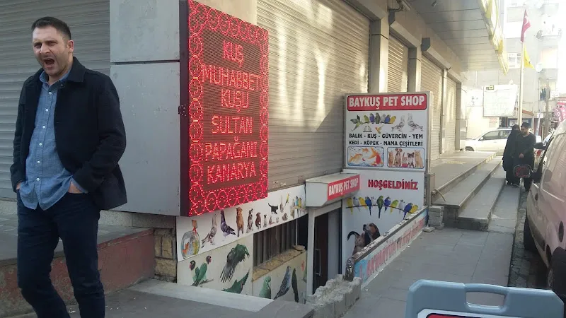Azra & Poyraz Pet Shop foto 2
