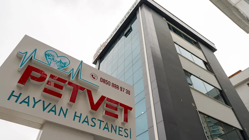 PetVet foto 2
