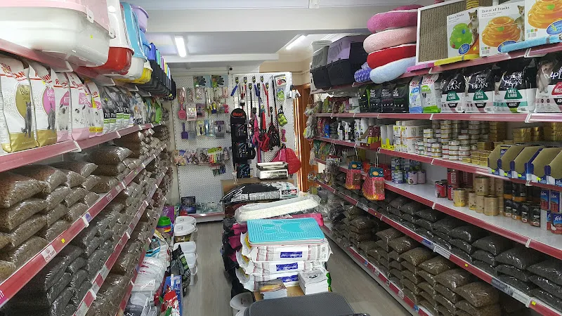 Altın Patiler Petshop foto 2