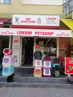 Lokum Petshop. Evlere servis vardır fotoğrafı