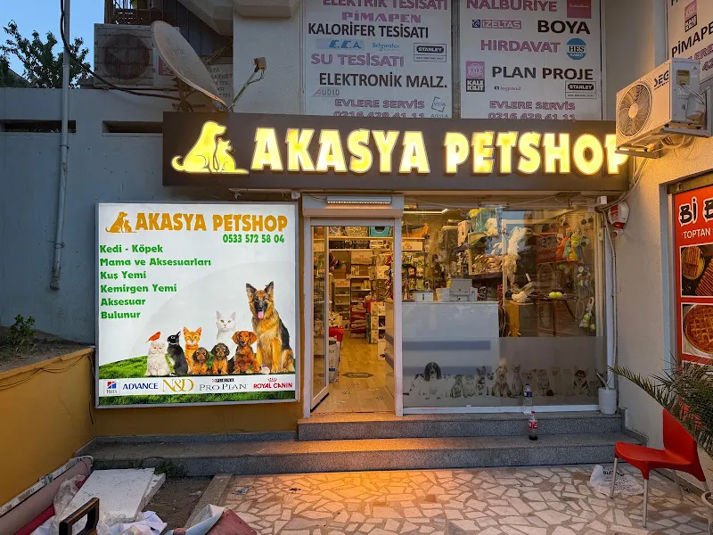 Akasya Pet Shop foto 1