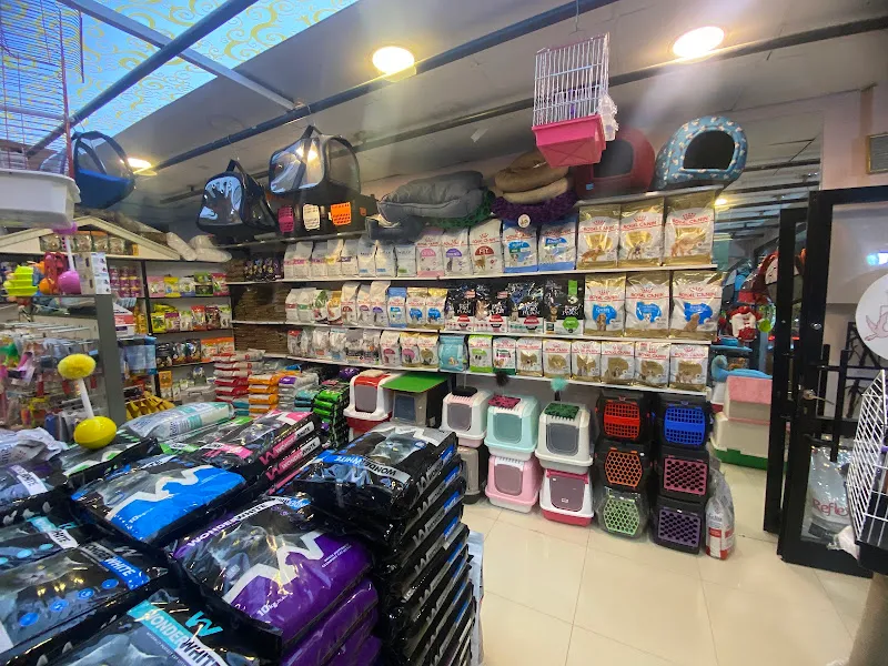 SELİDA PETSHOP foto 2