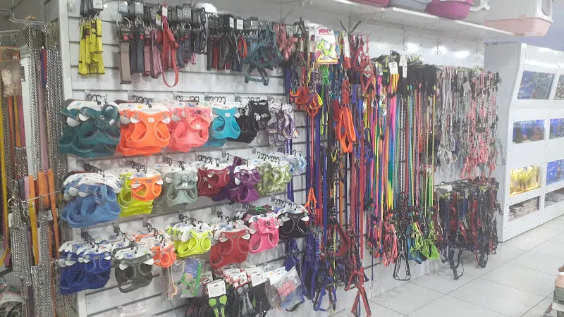 PatiPet Petshop foto 2