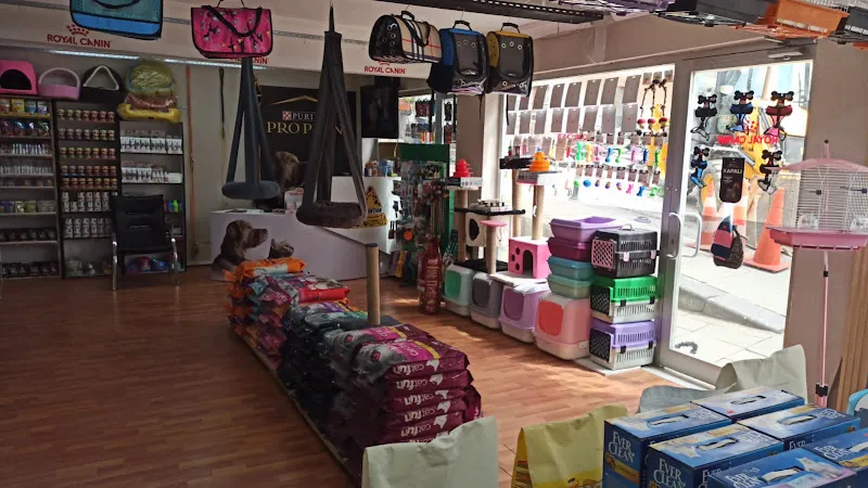 Cadde Pet Market foto 2