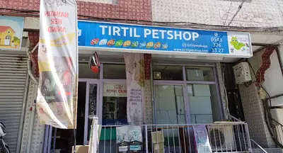 TıRTıL PetShop ( Yeşilpınar )