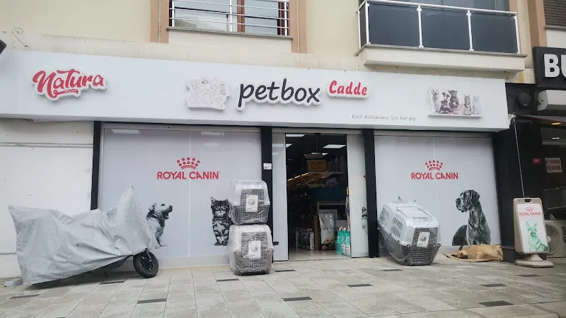 Okyanus Petshop Sinanoba foto 1