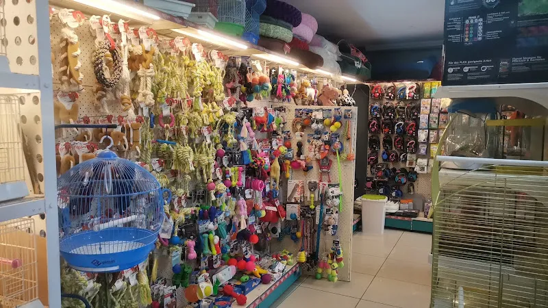 Okyanus Petshop Sinanoba foto 2
