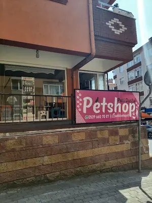 Bulgurlu Pati Dostu Petshop fotoğrafı