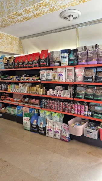 Bulgurlu Pati Dostu Petshop foto 2