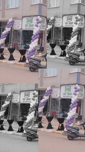PENDİK MERİ PETSHOP foto 2