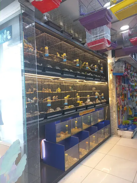 Puhu Petshop foto 2