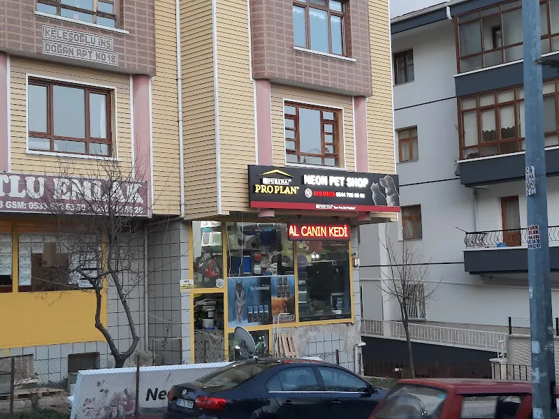 Neon Pet Shop foto 1
