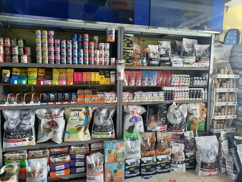 Neon Pet Shop foto 2