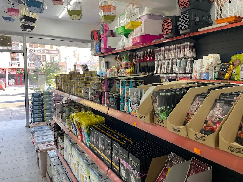 Şahin Petshop foto 2