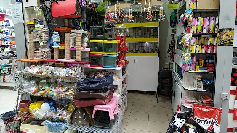 Talha Akvaryum Pet Shop foto 1