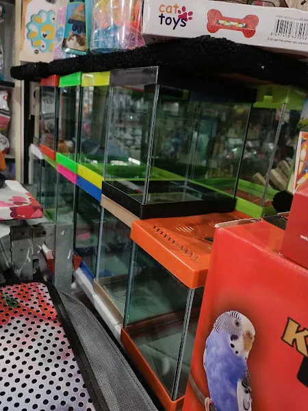 Talha Akvaryum Pet Shop foto 2