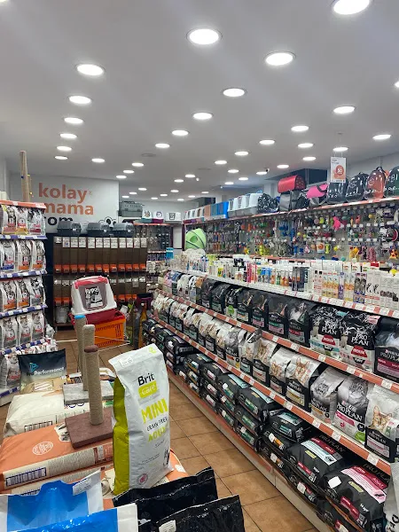KolayMama GOP Mağazası foto 2