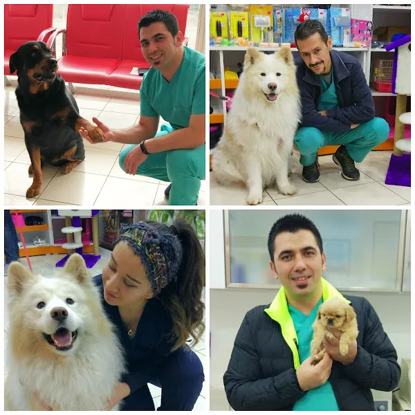 Vetarea Emek Veteriner Kliniği foto 2