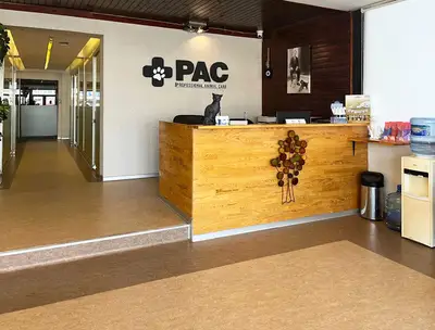 Veteriner Bağlıca (7/24 Açık) - PAC Veteriner Ankara fotoğrafı