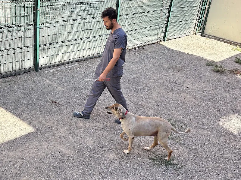 Veteriner Bağlıca (7/24 Açık) - PAC Veteriner Ankara foto 2