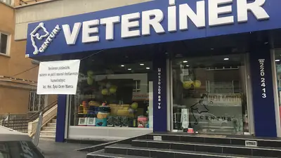 CENTURY VETERİNER KLİNİĞİ fotoğrafı