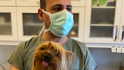 PetLove Veteriner Kliniği fotoğrafı