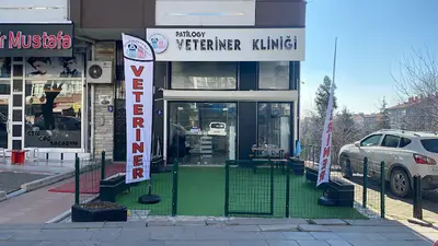 Patilogy Veteriner Kliniği