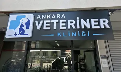 Ankara Veteriner Kliniği & Pet Grooming fotoğrafı