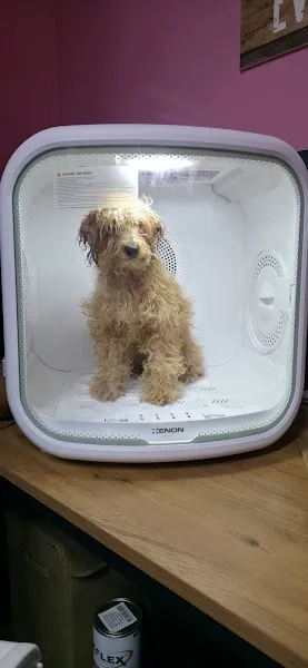 Ankara Veteriner Kliniği & Pet Grooming foto 2
