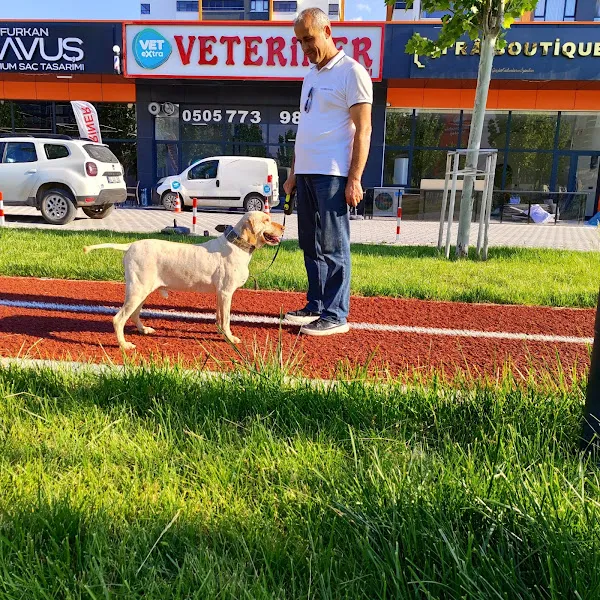 VET EXTRA YENİBATI foto 2